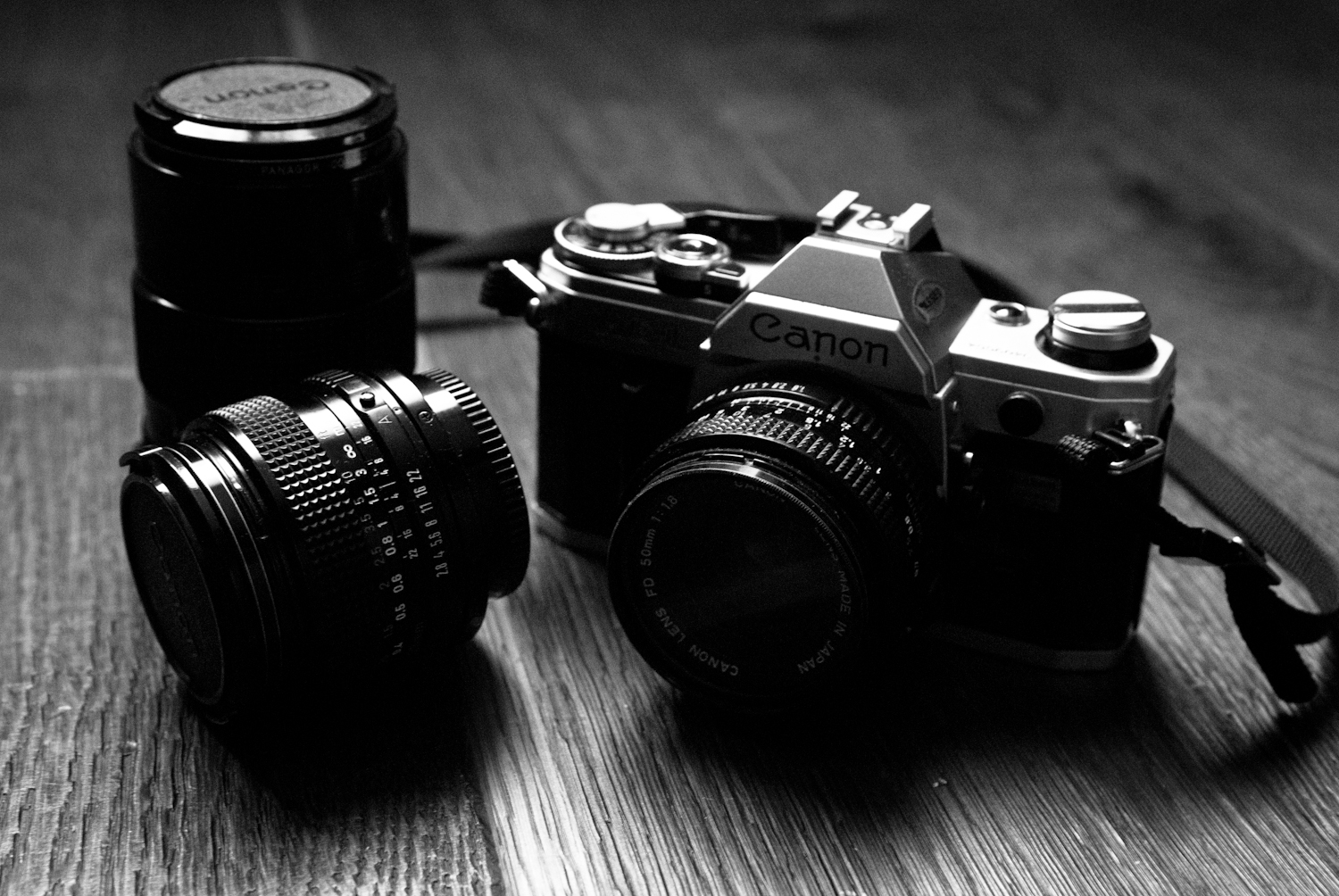 XV CONCURSO FOTOGRAFICO DE SAN MILLAN 2022