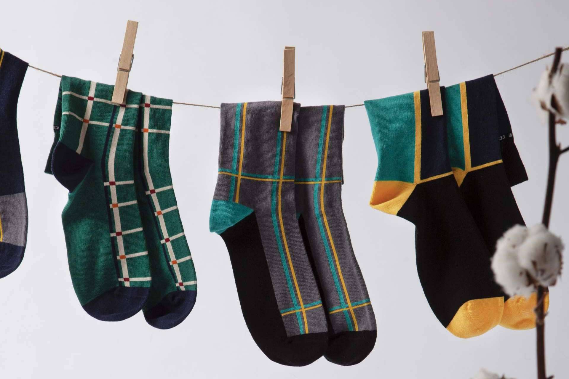 Algodón cosechado en España. La apuesta de Socks Market para revolucionar el sector de la moda sostenible
