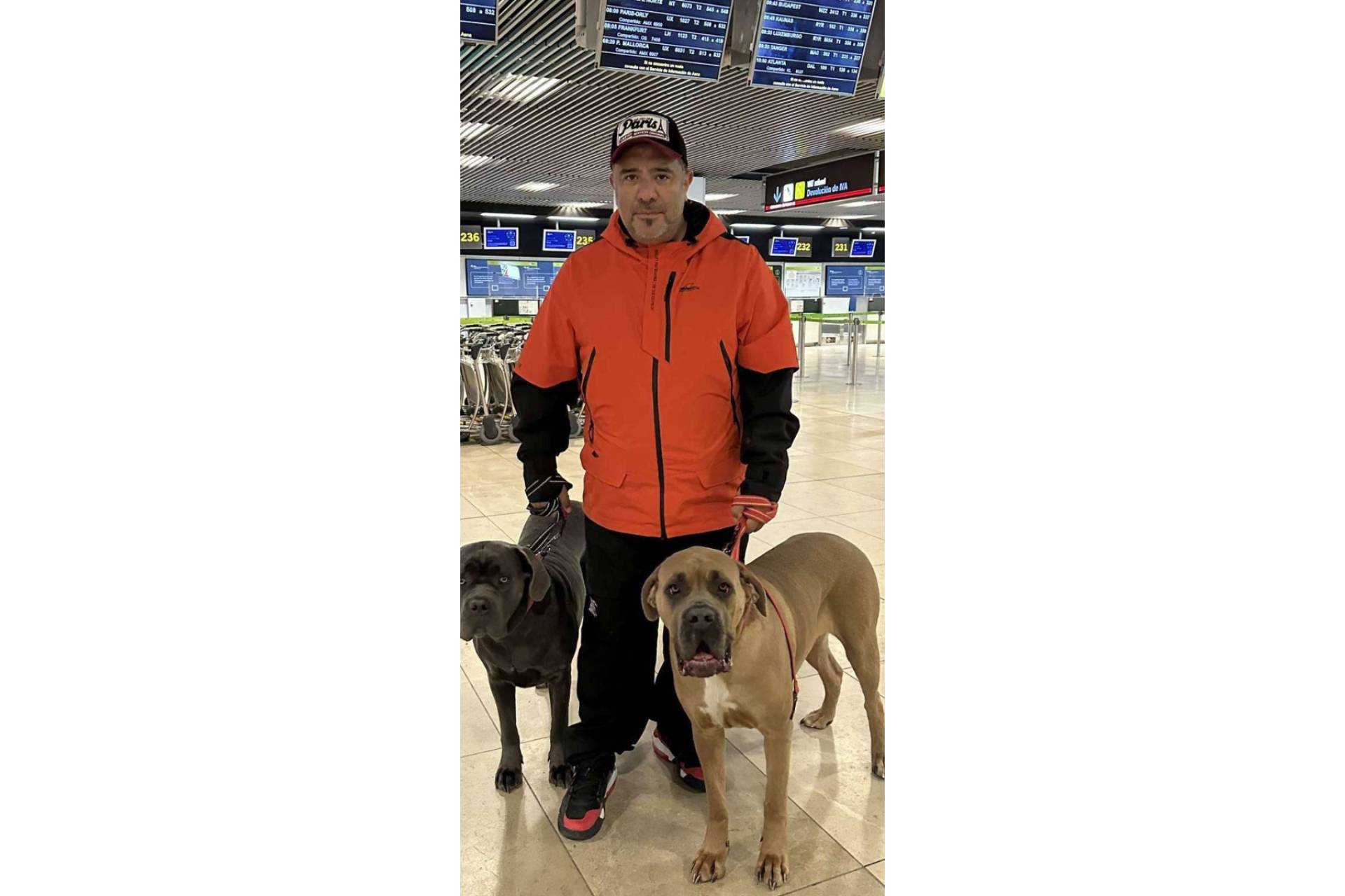 Pet World Travel, especialistas en el transporte nacional e internacional de mascotas