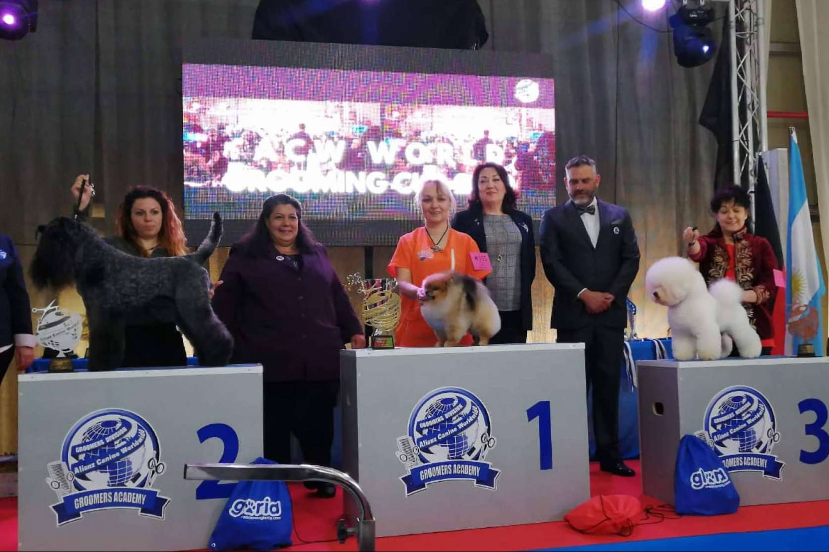 El Campeonato Europeo de Peluquería Canina 2024 se celebra en la Región de Murcia