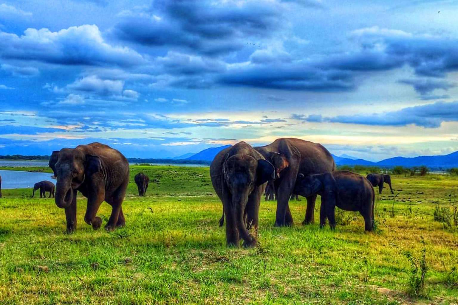 Viajar a Sri Lanka en 2024, con agencia local Viajes Eden