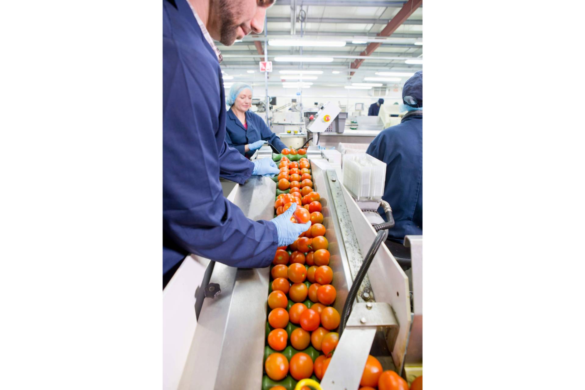 Baor Products amplía su capacidad productiva con una nueva planta en Molina de Segura