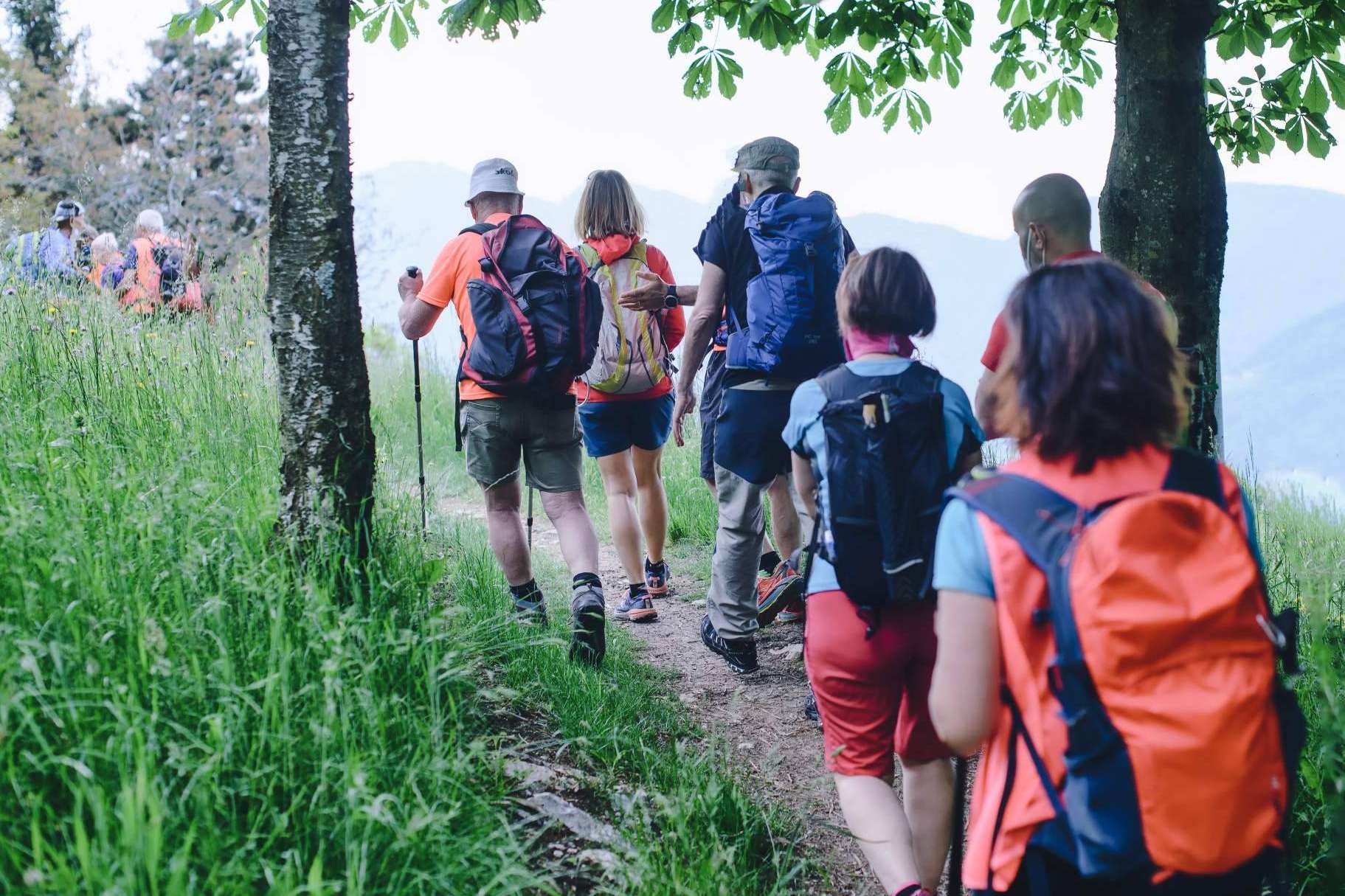 Descubrir Santiago de Compostela con un Free Tour; Una Experiencia que no se puede perder
