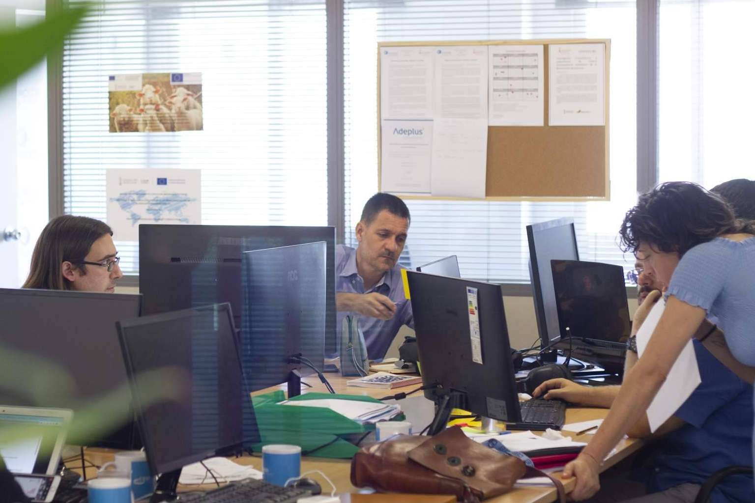 ProtoPRED; la solución computacional de ProtoQSAR para una predicción química accesible