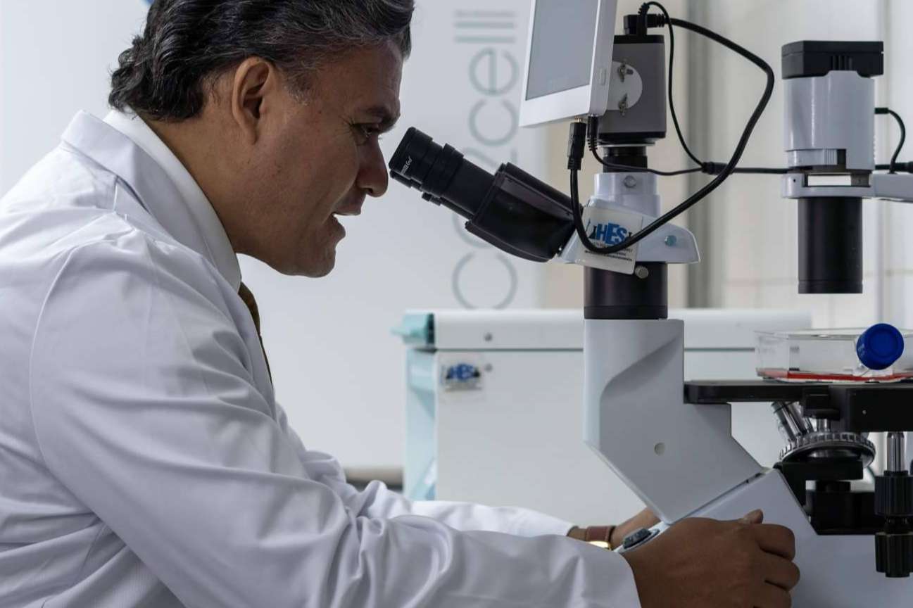 La valiosa ventaja de la inmunoterapia DEX personalizada contra el cáncer