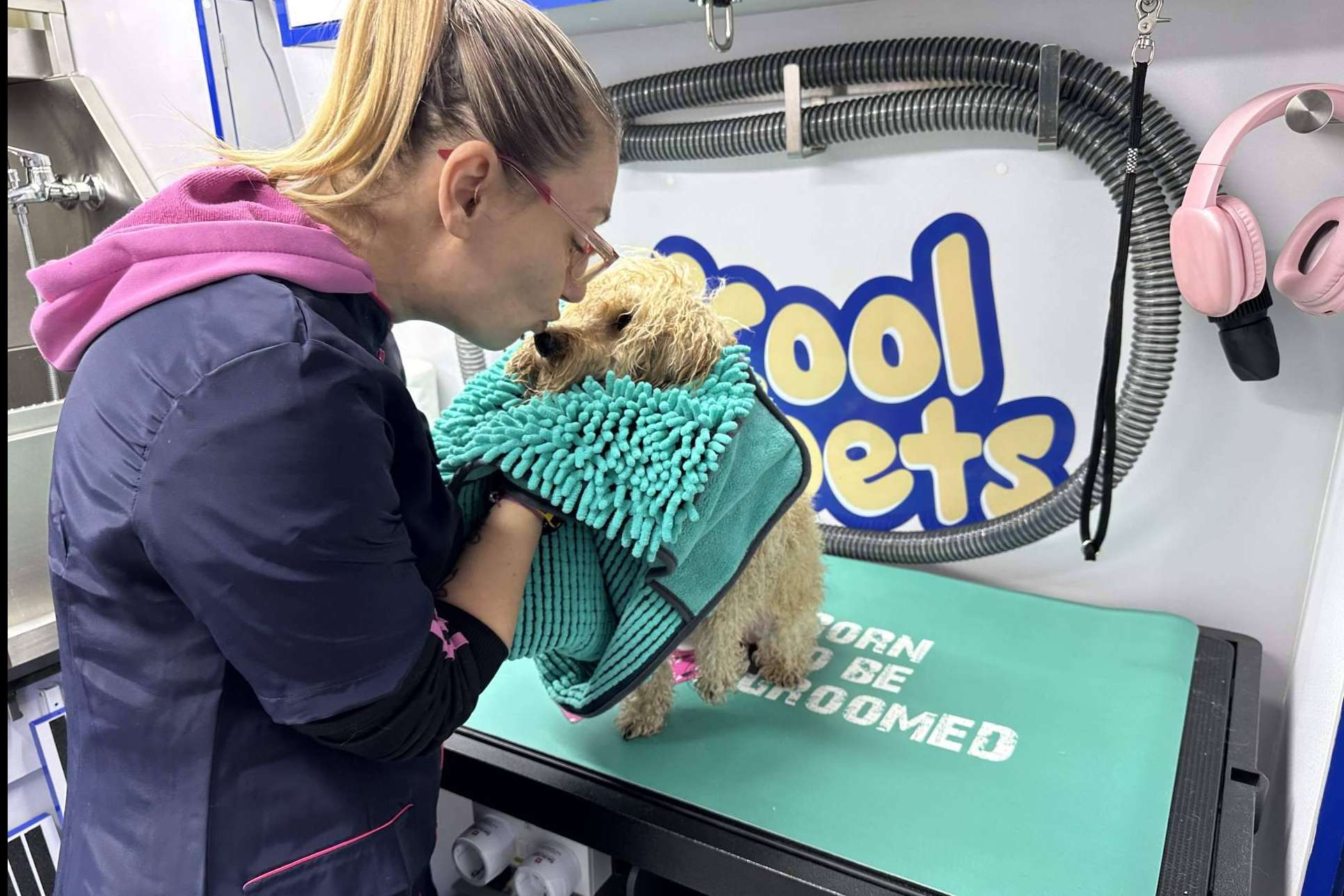 Llega a España un innovador servicio de peluquería móvil a domicilio para mascotas