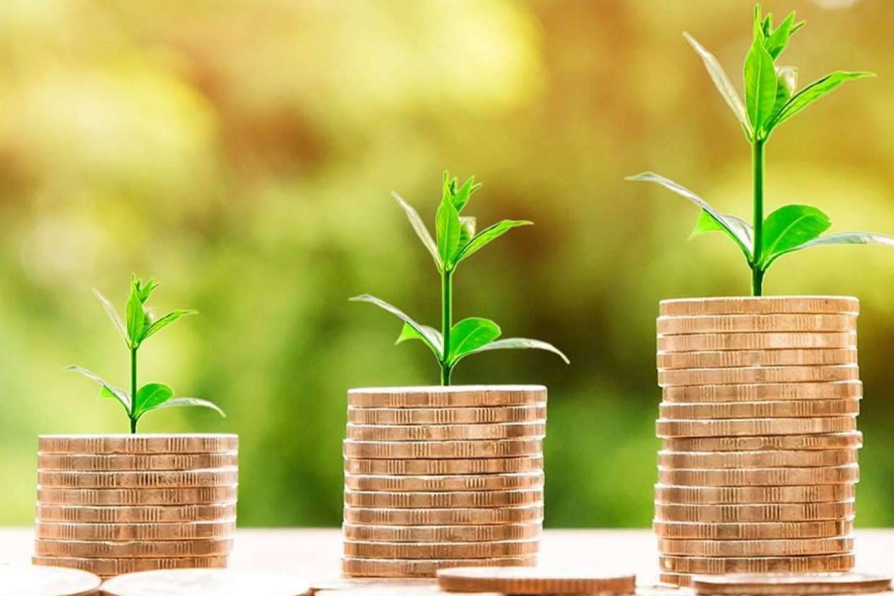 ¿Qué puede hacer un consultor financiero por una PYME?