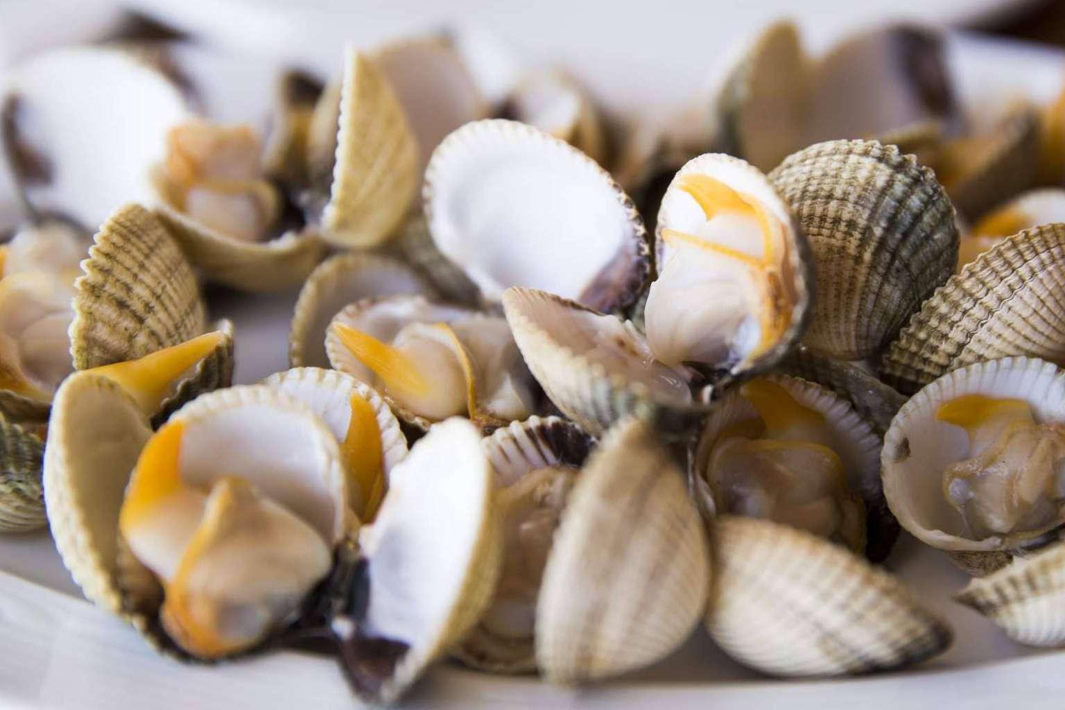 De Baena a Rioja Alavesa; 7 destinos que harán las delicias de los más foodies este 2025