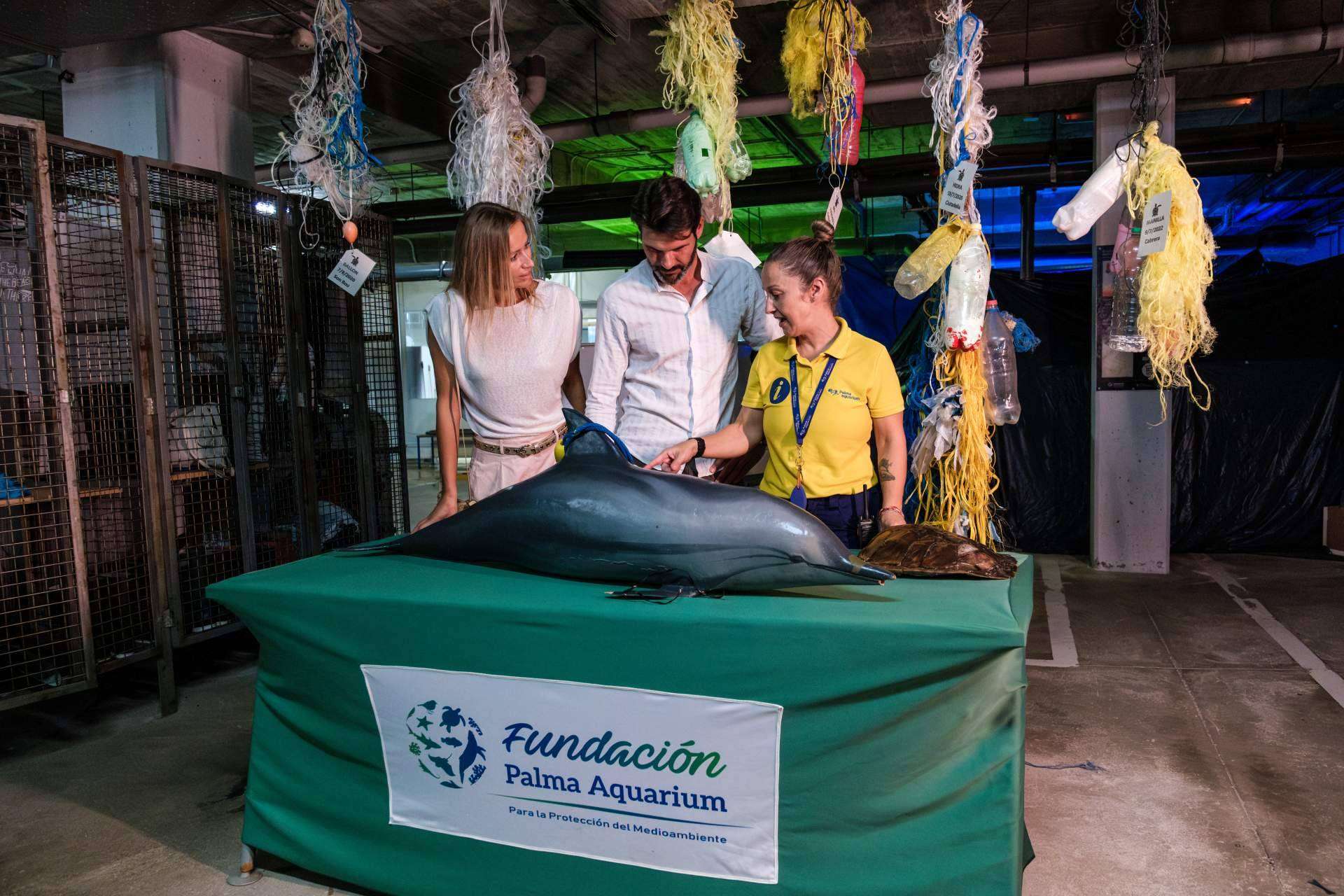 Palma Aquarium y su Fundación comparten sus logros en conservación y educación ambiental en 2024