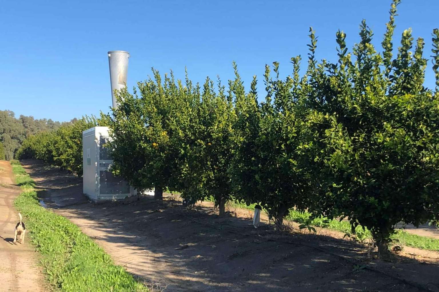 El clamor de los agricultores; Nace ANSAS como defensa del sistema antigranizo que es criminalizado