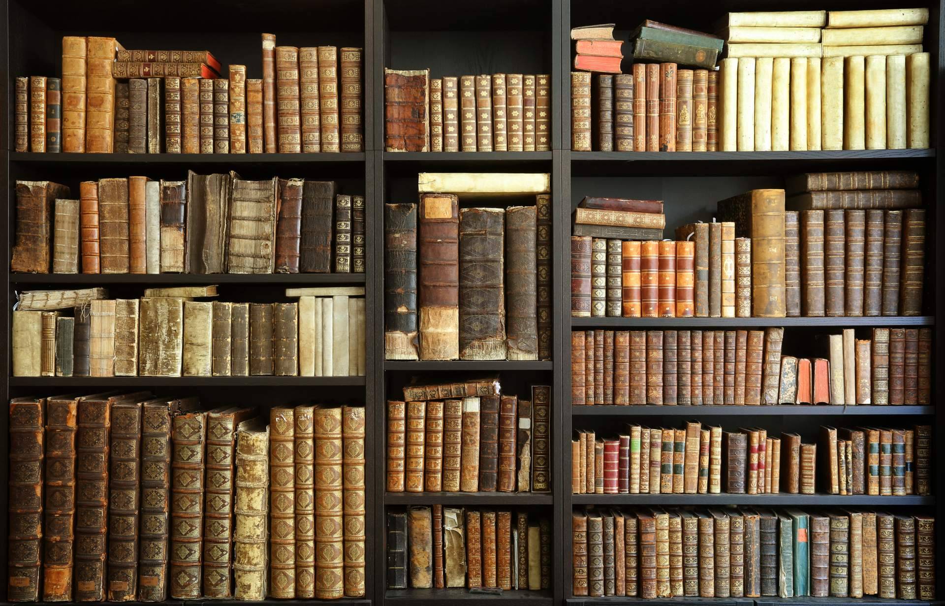 Academia 1819; Donde el arte deja de ser un camino solitario