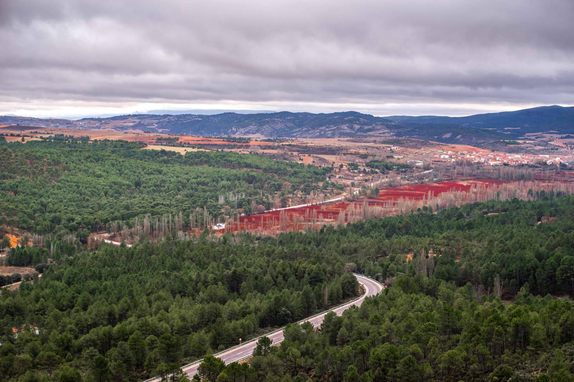 El 'Otoño Rojo' de la Serranía; Cañamares se consolida como destino fotográfico de temporada