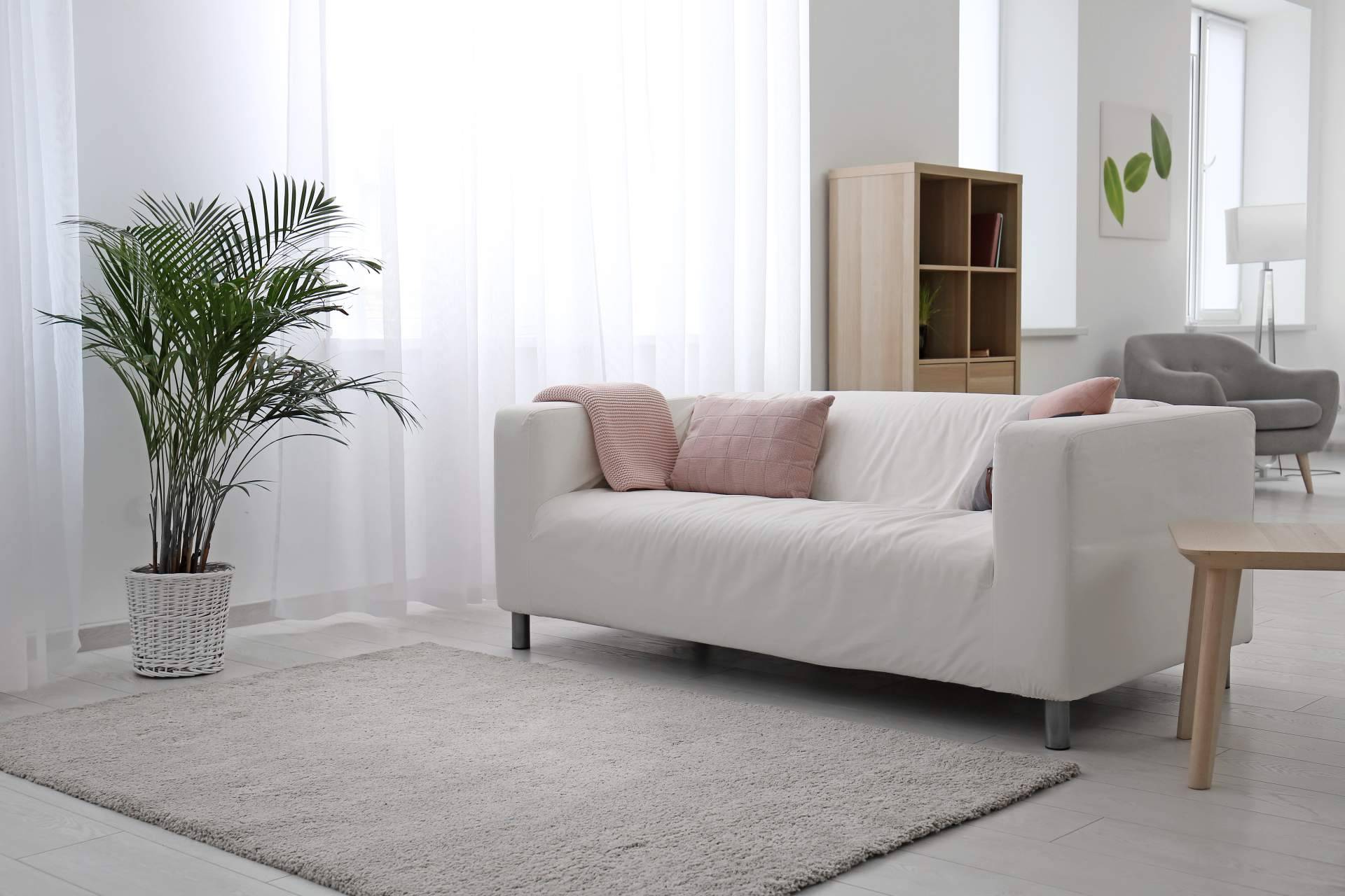 Limpieza profesional de alfombras, colchones y textiles en Madrid