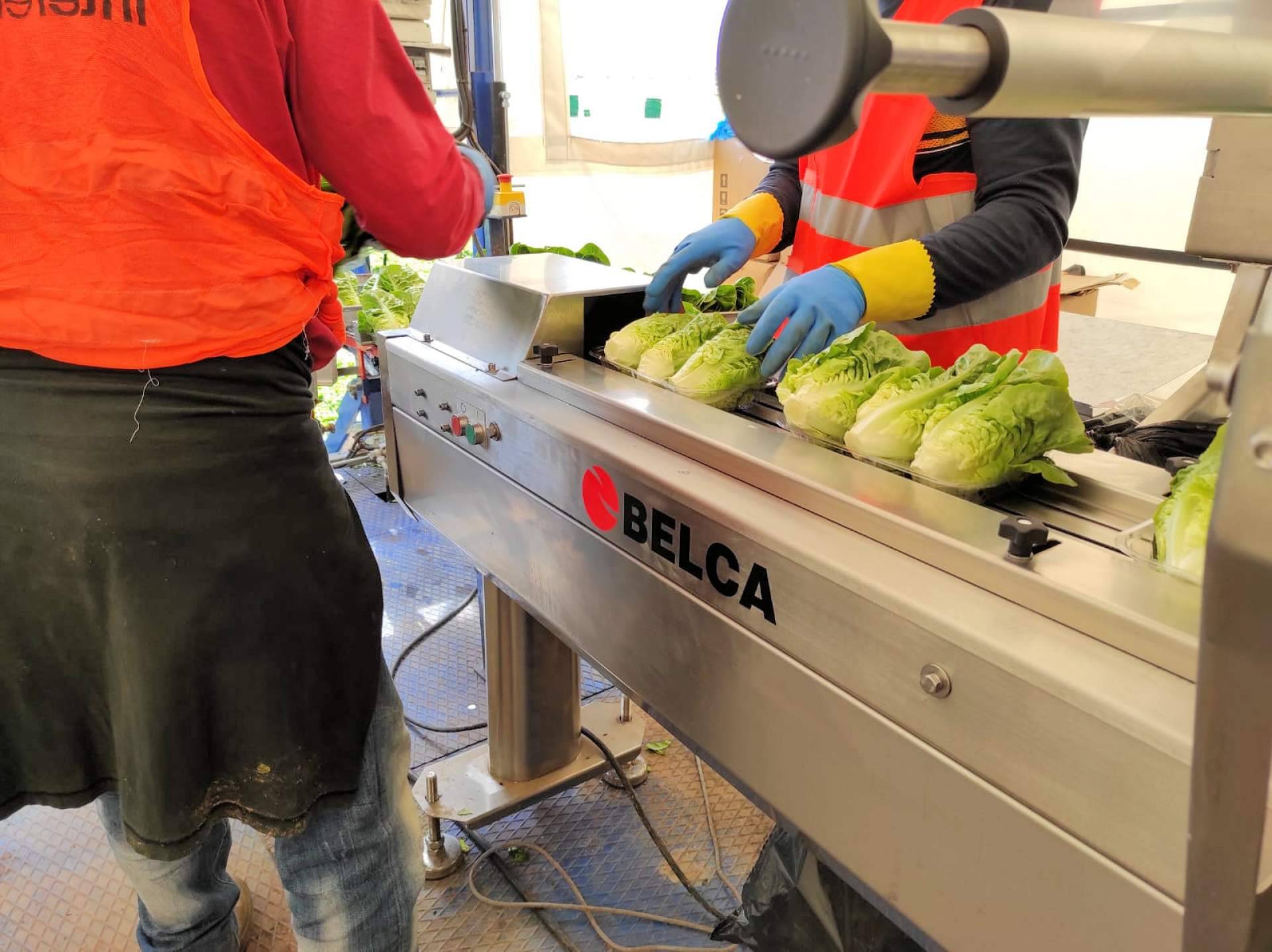 BELCA apuesta por soluciones de envasado sostenibles para frutas y verduras