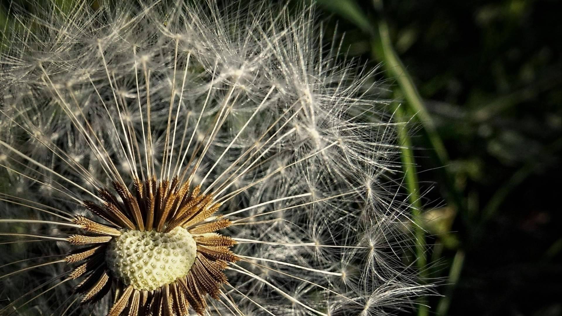 Cuando la primavera no termina; el impacto silencioso del clima en el bienestar