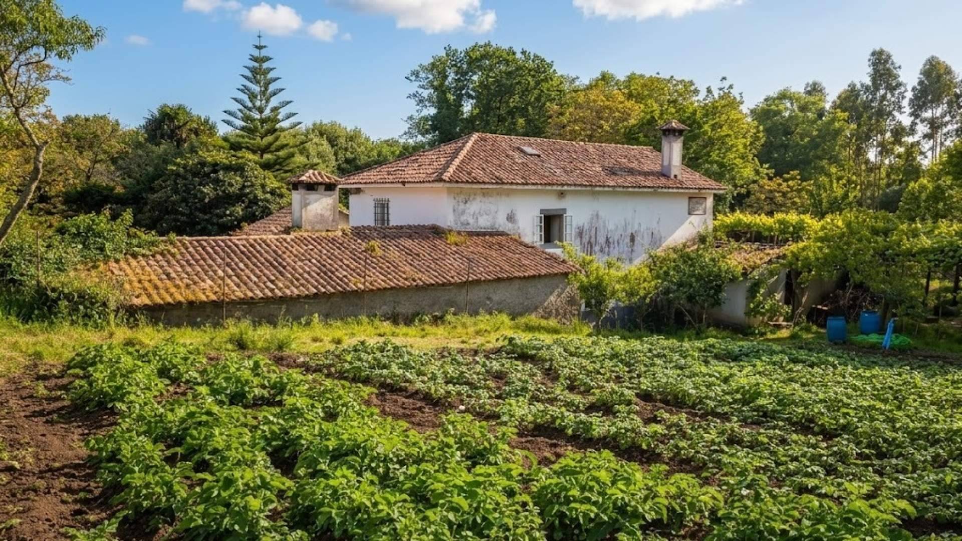 Sale a la venta en Narón un molino centenario catalogado por la Xunta y en pleno funcionamiento