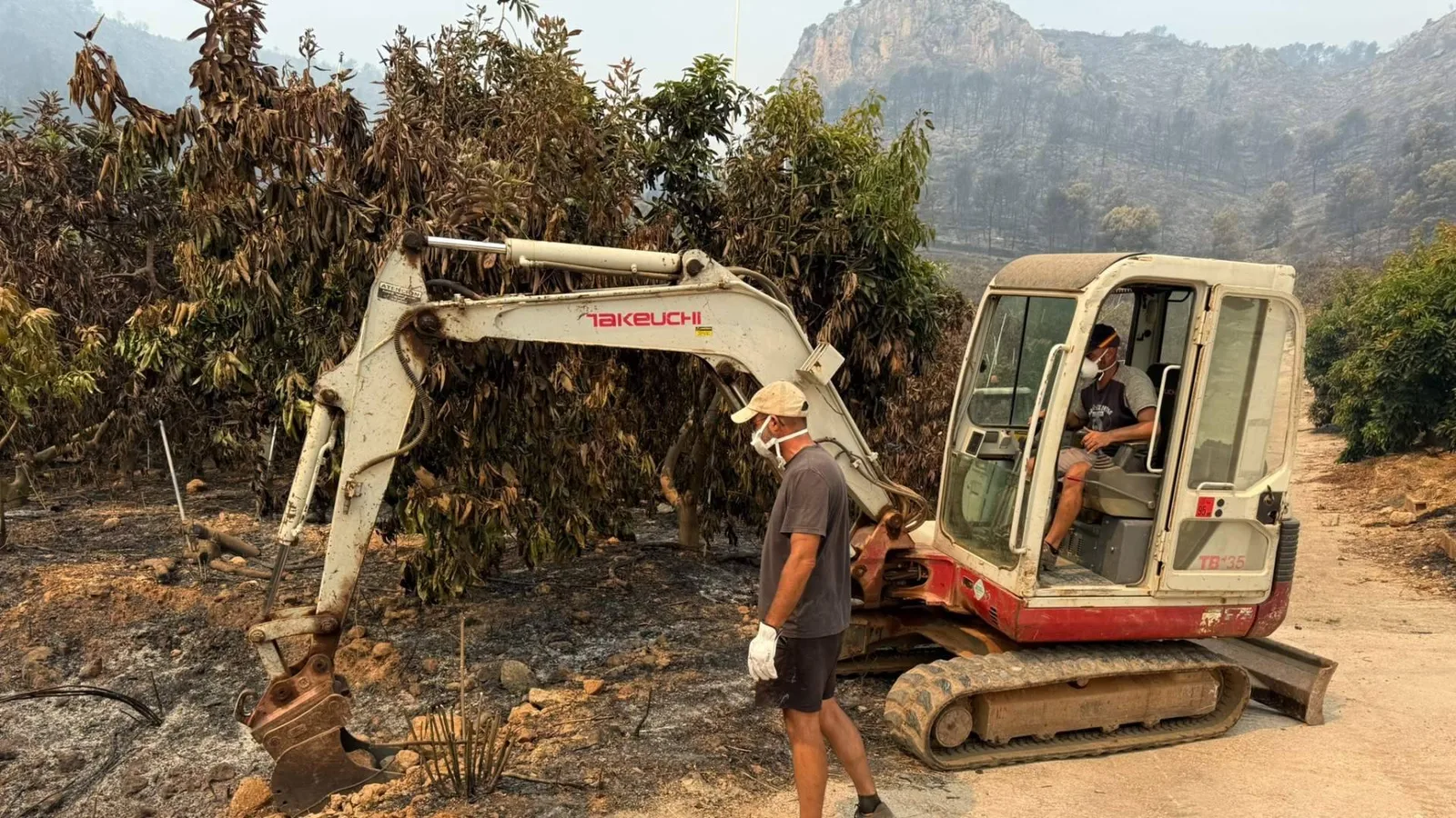 El incendio de Sierra de Espadán arrasa la finca de Tropitop y activa una campaña de recuperación