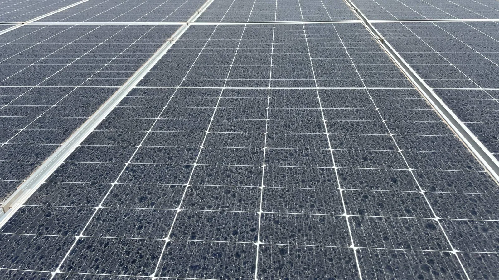 La limpieza de módulos solares a gran escala de BayWa r.e. maximiza el rendimiento de los parques fotovoltaicos